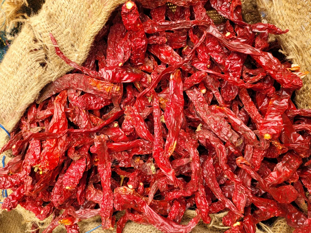 Byadgi Chilli